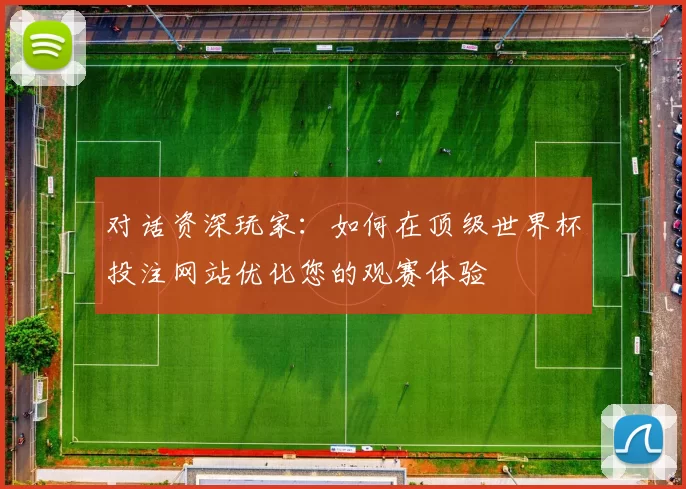 对话资深玩家：如何在顶级世界杯投注网站优化您的观赛体验