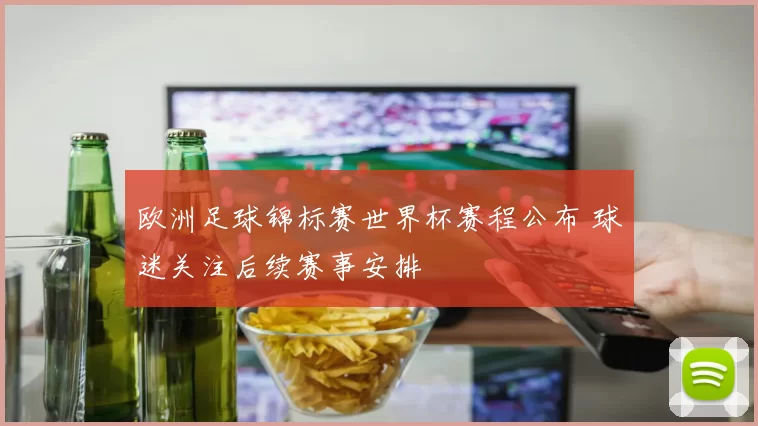 欧洲足球锦标赛世界杯赛程公布 球迷关注后续赛事安排