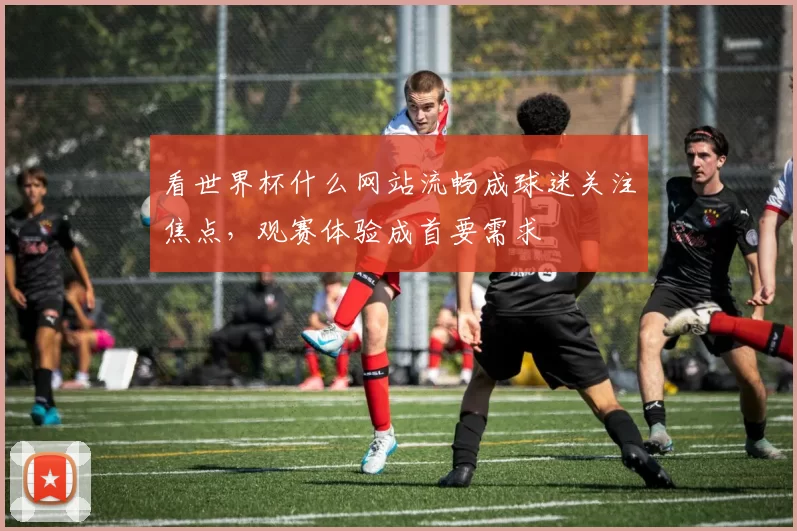看世界杯什么网站流畅成球迷关注焦点,观赛体验成首要需求