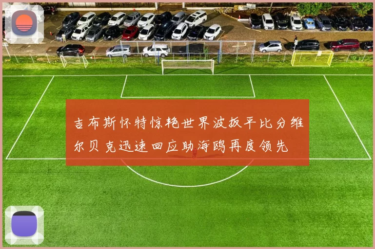 吉布斯怀特惊艳世界波扳平比分维尔贝克迅速回应助海鸥再度领先