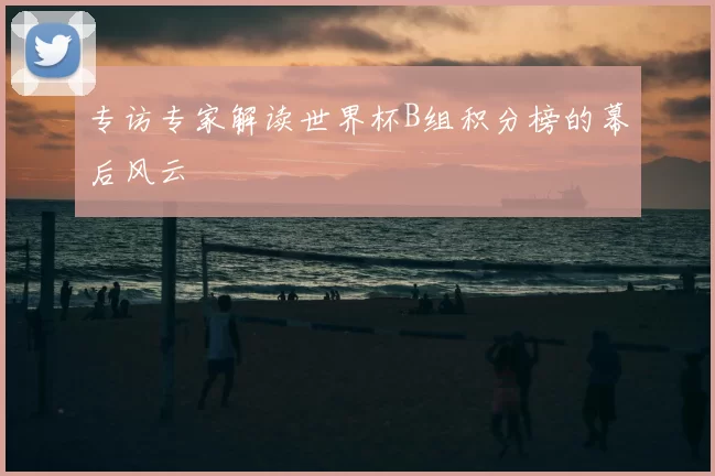 专访专家解读世界杯B组积分榜的幕后风云