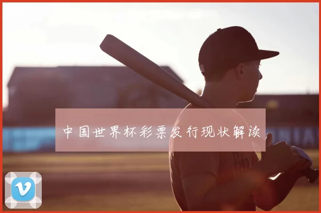 中国世界杯彩票发行现状解读