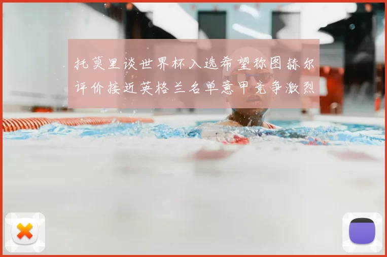 托莫里谈世界杯入选希望称图赫尔评价接近英格兰名单意甲竞争激烈