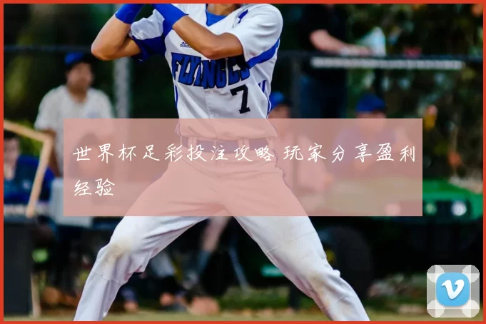 世界杯足彩投注攻略 玩家分享盈利经验