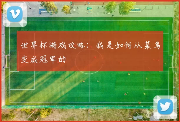 世界杯游戏攻略:我是如何从菜鸟变成冠军的