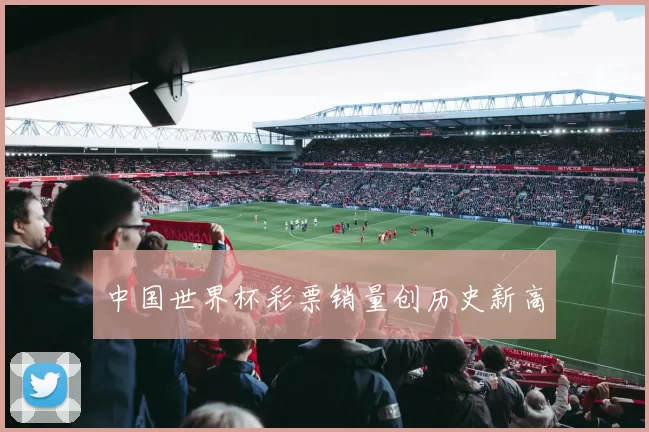中国世界杯彩票销量创历史新高