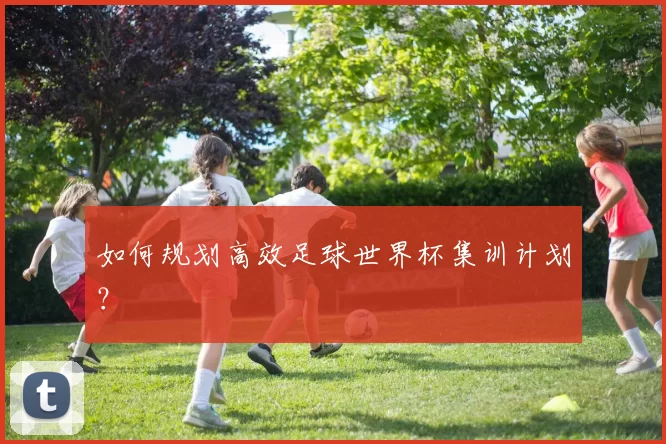 如何规划高效足球世界杯集训计划?