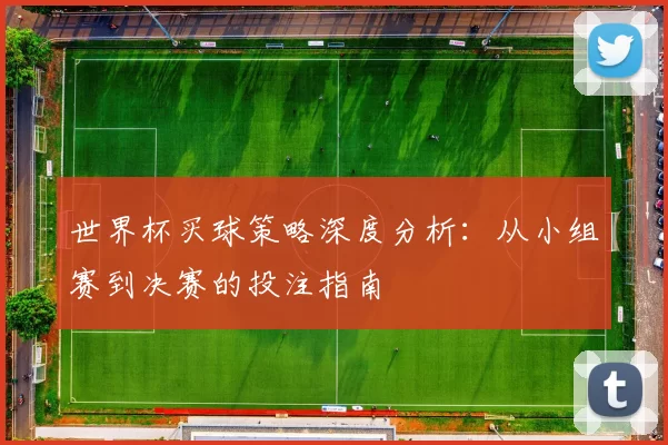 世界杯买球策略深度分析：从小组赛到决赛的投注指南