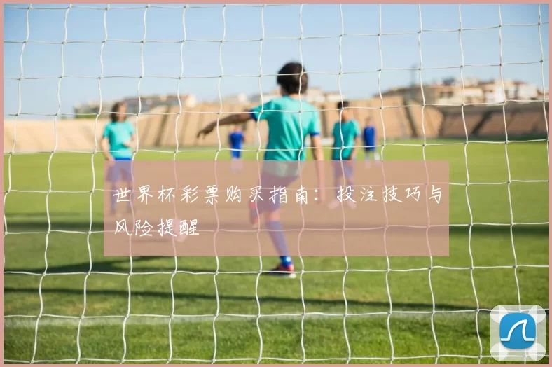 世界杯彩票购买指南：投注技巧与风险提醒