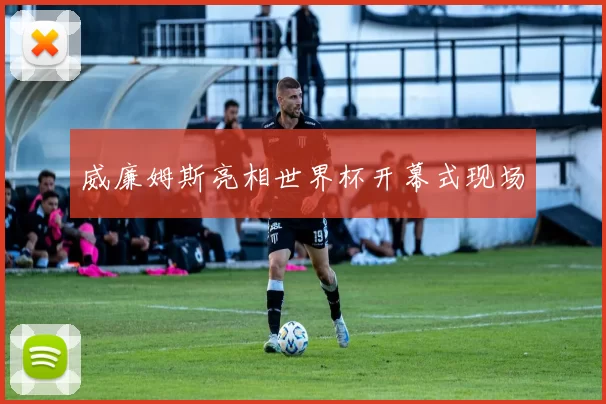 威廉姆斯亮相世界杯开幕式现场