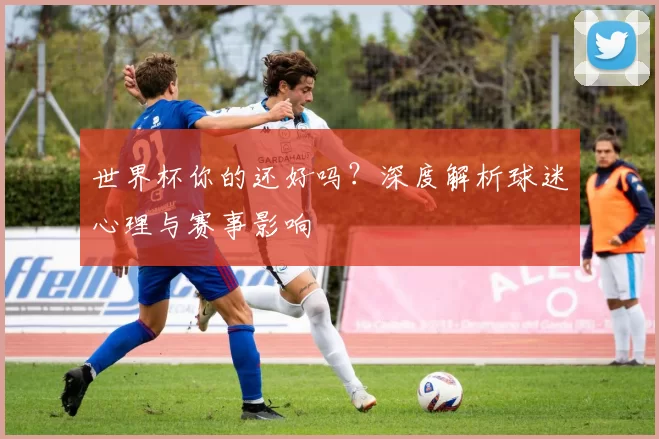 世界杯你的还好吗?深度解析球迷心理与赛事影响