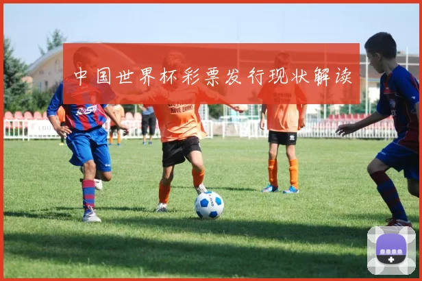 中国世界杯彩票发行现状解读