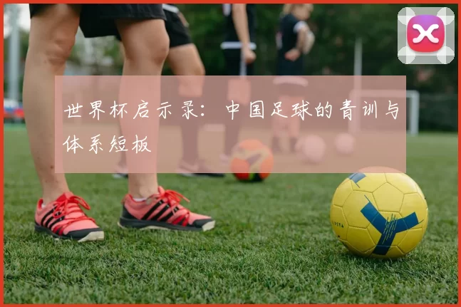 世界杯启示录：中国足球的青训与体系短板