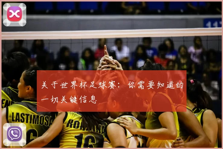 关于世界杯足球赛：你需要知道的一切关键信息