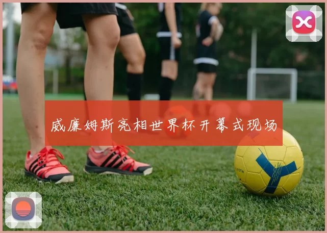威廉姆斯亮相世界杯开幕式现场